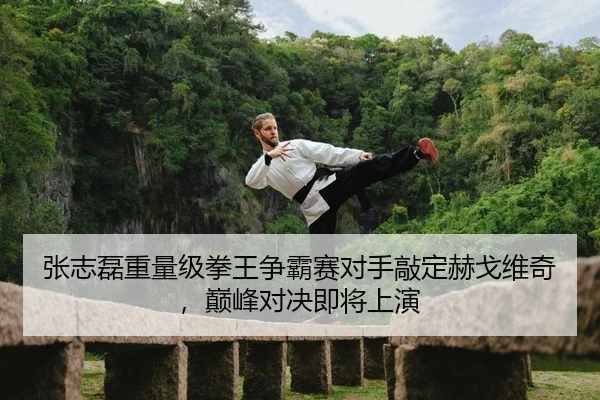 zhang-zhi-lei-zhong-liang-ji-quan-wang-zheng-ba-sai-dui-shou-qiao-ding-he-ge-wei-qi-dian-feng-dui-jue-ji-jiang-shang-yan-2-780.jpg